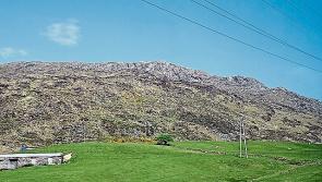 INHFA calls for upland farming module to form part of  Green Cert