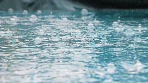 INHFA calls for pause on farm inspections as weather crisis deepens