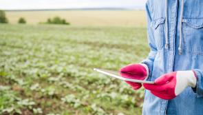 All non-essential inspections paused and Teagasc tasked with coordination of support to farmers under fodder pressure