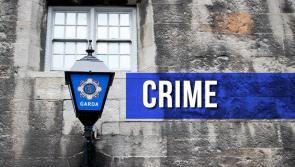 Outgoing Taoiseach and Tánaiste share their thoughts after two off duty Gardaí allegedly assaulted