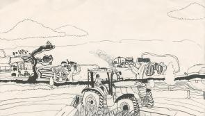 Leitrim student wins top prize in Texaco Children’s Art competition