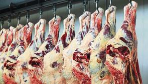 Factory opportunism unacceptable, beef prices must push on says IFA