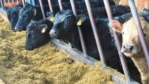 Transport Scheme for Fodder a  good step
