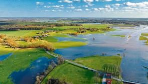 IFA Shannon and Flooding Project Team meets to set out priorities