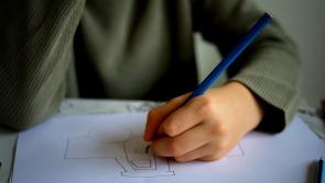 There needs to be a special school established for children in Leitrim, Sligo/Leitrim TD