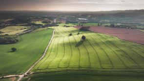 Fairer approach needed for access to Farm Assist and the Rural Social Scheme