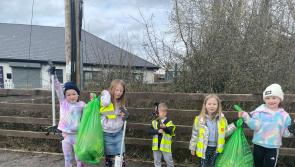 National Spring Clean 2024 completes milestone 25th anniversary spring clean