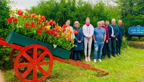 Aughrim Kilmore community draw up plans to improve appearance of the parish