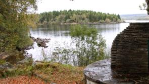 Coillte welcomes new visitor experience at Glenfarne Wood
