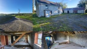 PICTURES: A slice of Leitrim countryside heaven with fixer-upper house and outbuildings for under €100k