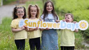 Support North West Hospice on Sunflower Days 2024