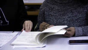 Irish NGOs supporting integration of asylum seekers to get €2.5m in govt funding