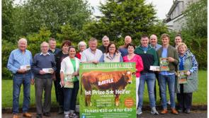 'If you’re not in you can’t win' - '5 star' Limousin heifer up for grabs in Mohill Show raffle