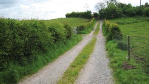 Appeal for increased Community Scheme funding