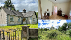 PICTURES: Leitrim fixer-upper cottage with more than six acres going for less than €100k