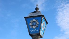 Leitrim Gardaí seek public assistance for suspicious vehicle in Ballinamore area