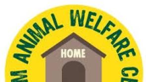 Support needed for Leitrim Animal Welfare to continue essential services