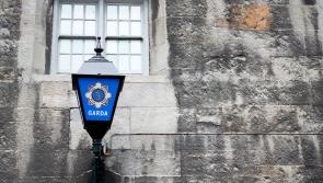 Gardai deny 'secretly moving' international protection applicants into Thornton Hall site