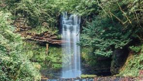 Leitrim to receive just over €30,000 in maintenance from €3 million national forest park investment