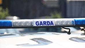 In a flap! Garda&iacute; in Kilkenny make 'alarming discovery' at local GAA pitch