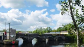 Damaged fencing in Drumshanbo needs review, say councillors