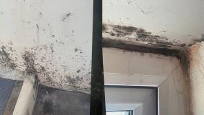 ‘Our health is at risk’: Leitrim expectant couple battles severe mould in Council home
