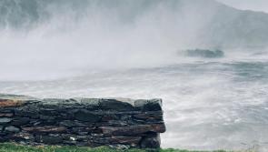 Storm Ashley Update: Leitrim fares better than most as ESB networks restores power to 53,000 customers
