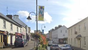 Weed blight in Leitrim towns sparks concern over tourism
