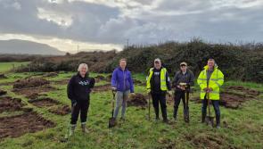 Love Woodland seeks volunteers for native tree planting in North Leitrim