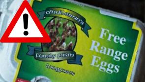 ALERT: Recall notice for specific batch of free range eggs for possible salmonella 