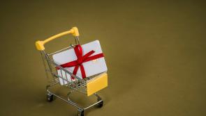 LEO and Leitrim County Council to revisit Leitrim Gift Voucher initiative