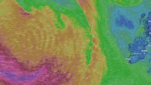 CONFIRMED: Schools to close on Friday as Ireland prepares for 'destructive'  Storm &Eacute;owyn