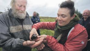 Farm walks: exploring the art of listening to the land