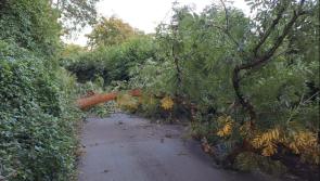 Thousands in Leitrim applied, but less than half got HAS storm grant aid