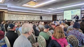 EirGrid energy citizen roadshow comes to Carrick on Shannon