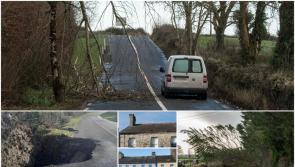 PICTURES: Damage caused around Leitrim by Storm Éowyn