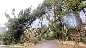 Thousands without power in Leitrim as storm Éowyn strikes
