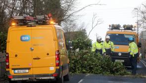 ESB in urgent safety appeal following 'very dangerous incidents' in the wake of Storm Éowyn