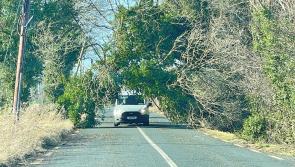 Government pledges support as Storm Éowyn leaves Ireland shook