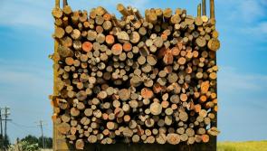 Leitrim road “falling away” due to heavy timber trucks