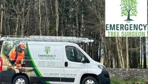 Emergency Tree Surgeon - Your tree care partner in crisis