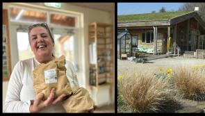 Potato Day returns to Leitrim’s Organic Centre