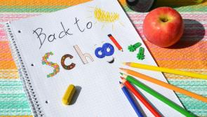 Leitrim councillor backs strike by Forsa school secretaries and caretakers