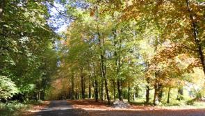 Major boost for Leitrim and Sligo Greenways with nearly €3 million investment