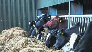 Frustration mounts among Leitrim farmers over delayed ACRES payments 