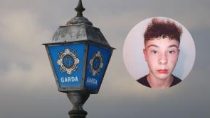 ALERT: Gardai in urgent appeal amid concerns for wellbeing  of missing boy (15)