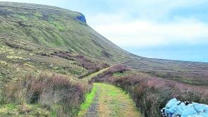 Action sought on scrambler use in conservation land in north Leitrim