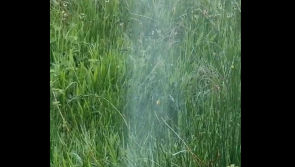 WATCH: Has Leitrim elected their own Pope? People try to solve bizarre 'field smoking' video