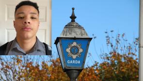 Gardai issue missing persons appeal for Kilkenny teen (14) missing since Monday 