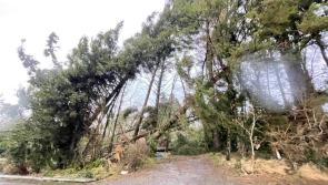 Over 100 Council houses in Leitrim damaged by Storm Éowyn, meeting hears